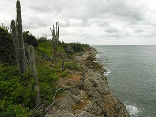 32