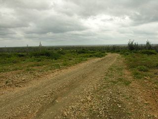 52