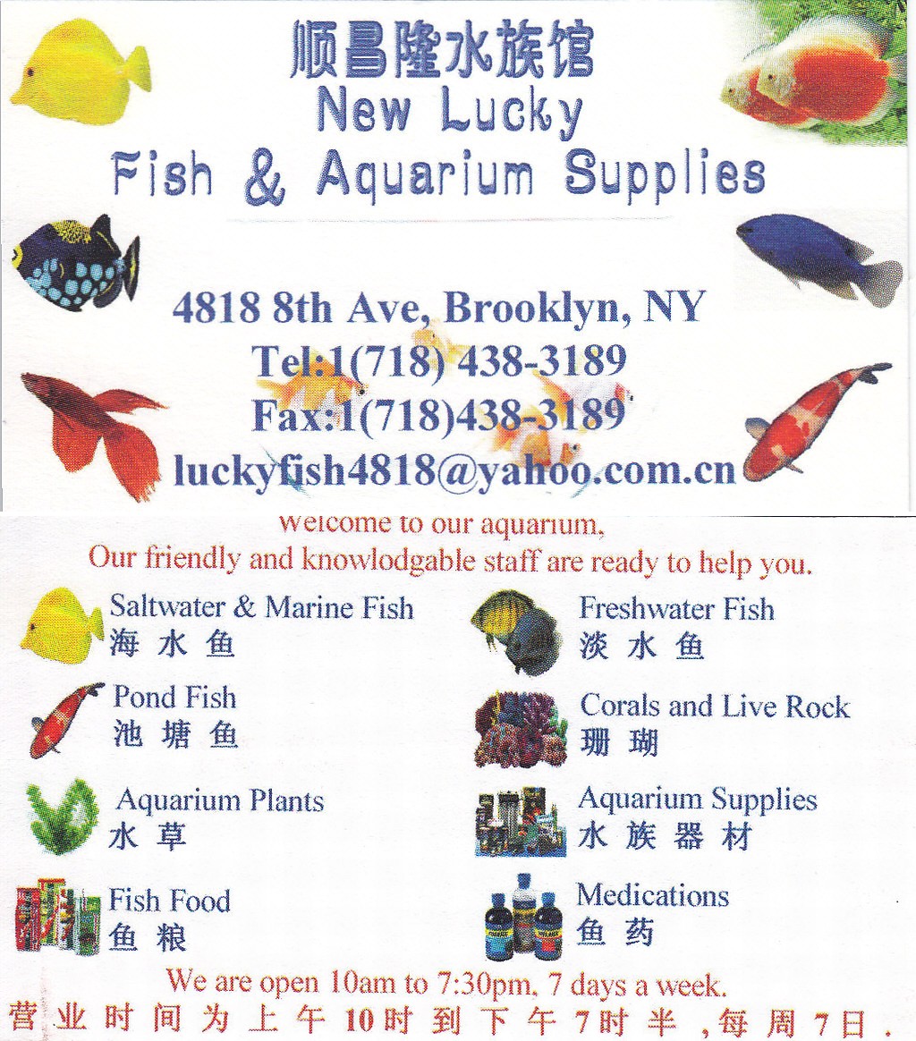 Brooklyn Bike Tour Saltwater Tropical Fish, Free Aquarium Tour