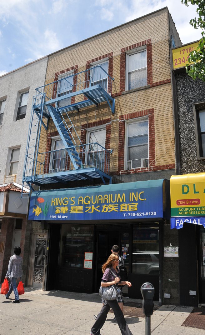 Brooklyn Bike Tour Saltwater Tropical Fish, Free Aquarium Tour